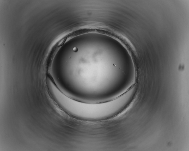 X0000101651114200807101225