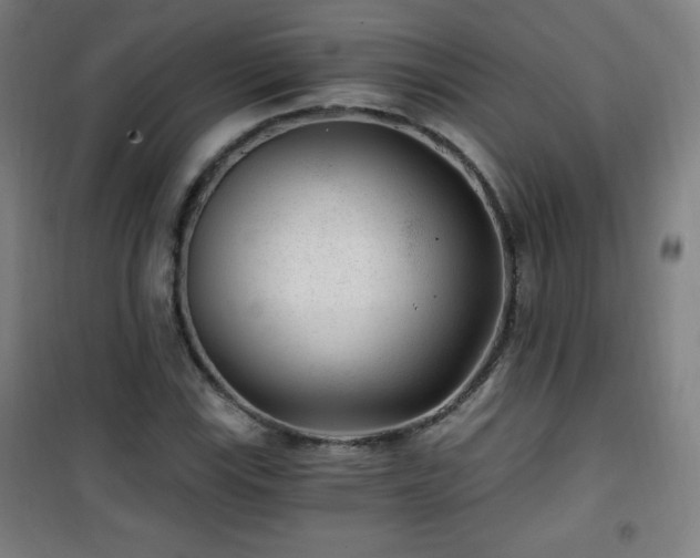 X0000101651115200807101225