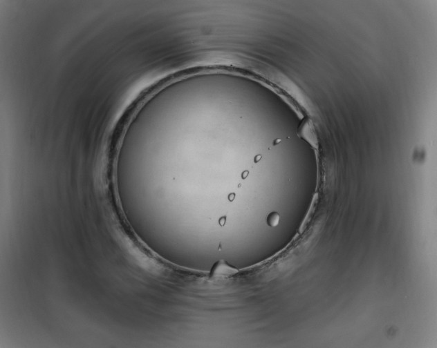 X0000101651116200807101225