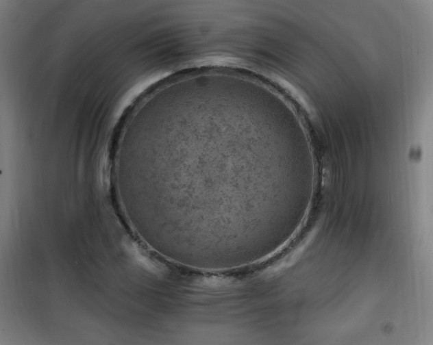 X0000101651117200807101225