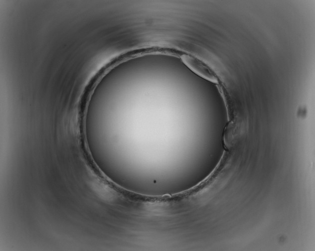 X0000101651118200807101225