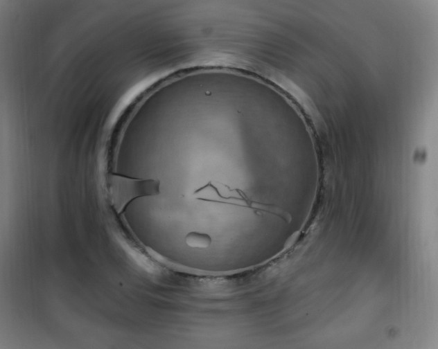 X0000101651120200807101225