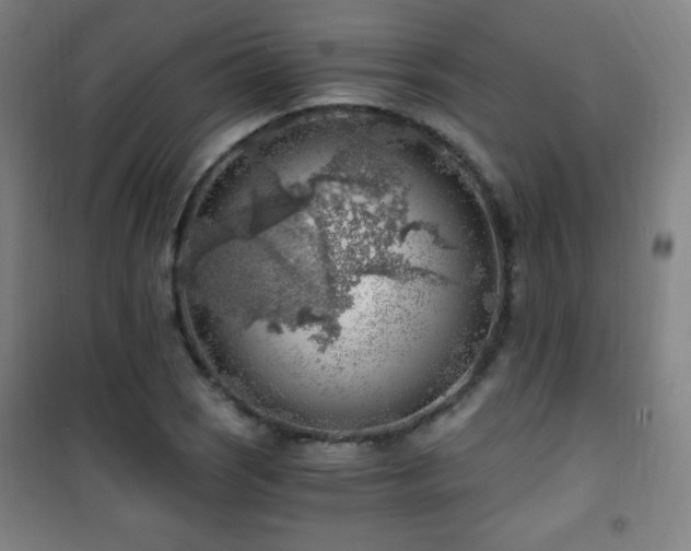 X0000101651121200807101225
