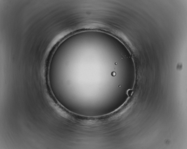 X0000101651122200807101225