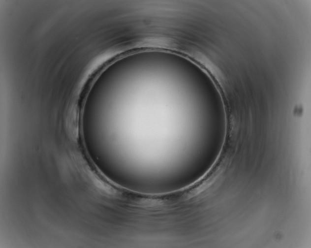 X0000101651123200807101225
