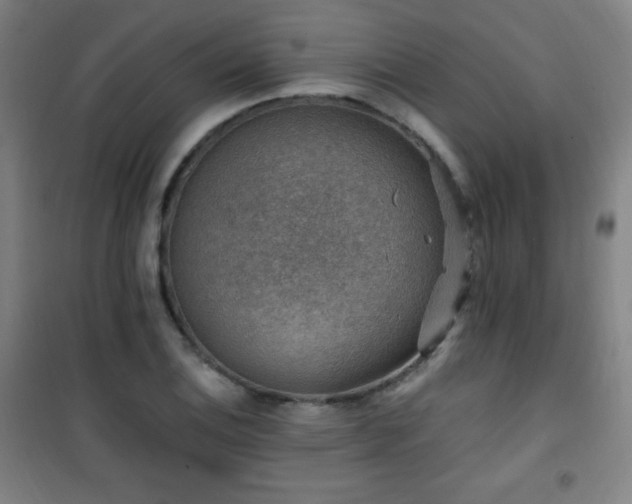 X0000101651124200807101225
