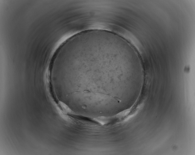 X0000101651125200807101225
