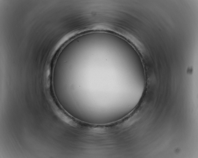X0000101651126200807101225