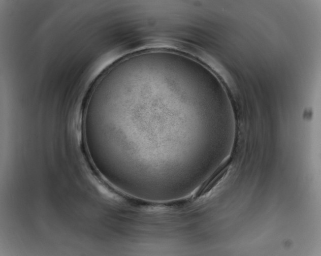 X0000101651127200807101225