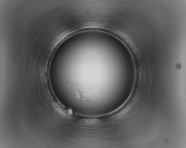 X0000101651129200807101225