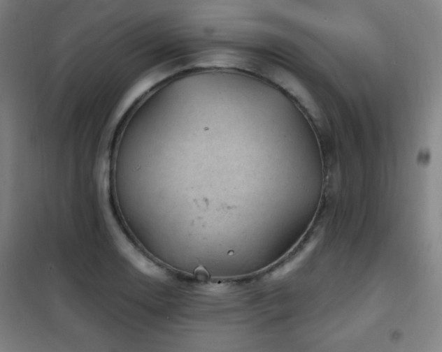 X0000101651130200807101225