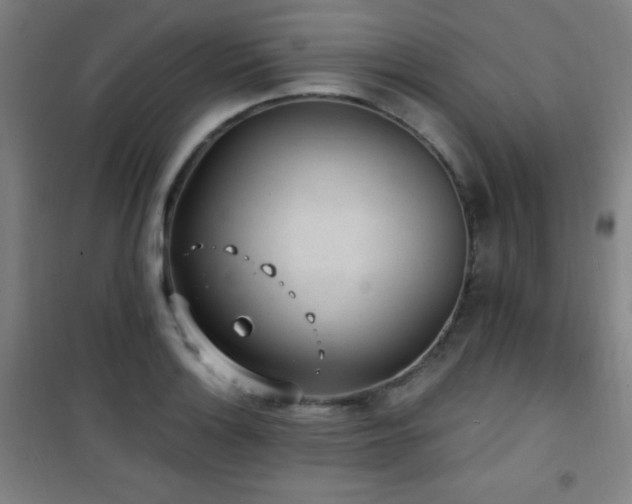 X0000101651132200807101225