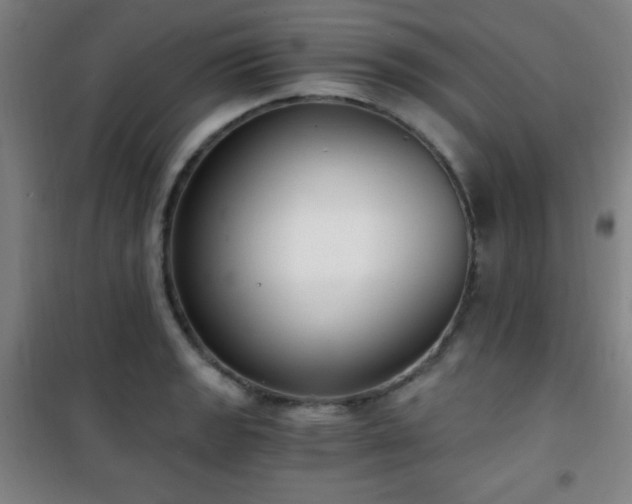 X0000101651133200807101225