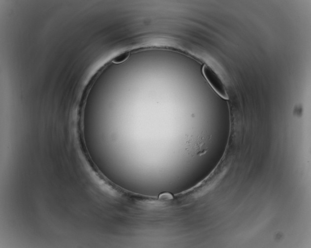 X0000101651134200807101225