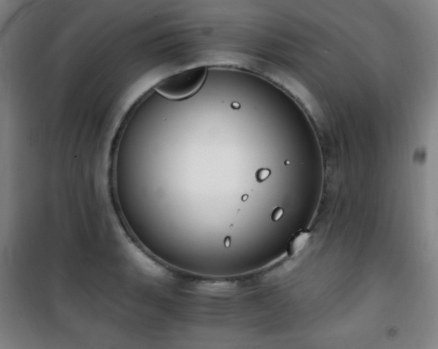 X0000101651135200807101225
