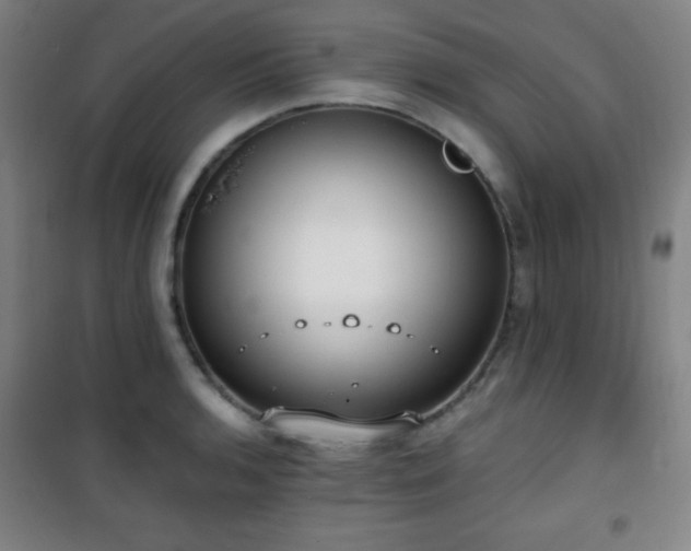X0000101651136200807101225