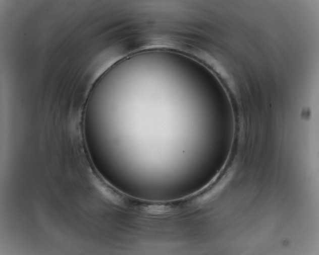 X0000101651137200807101225