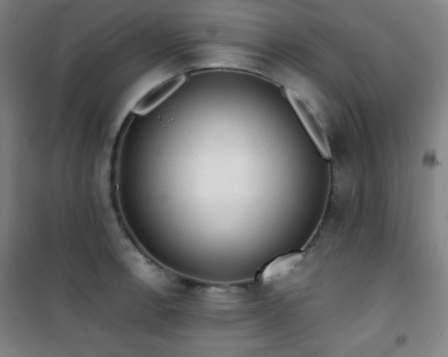 X0000101651138200807101225