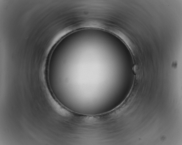 X0000101651139200807101225