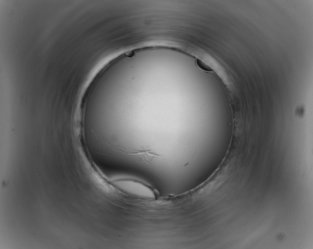 X0000101651140200807101225