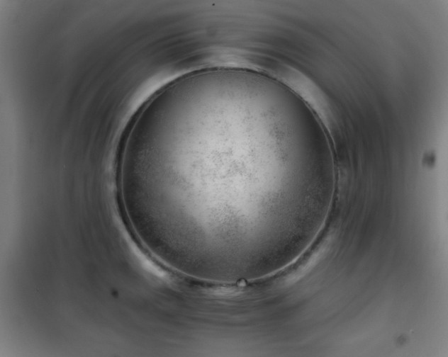 X0000101651141200807101225