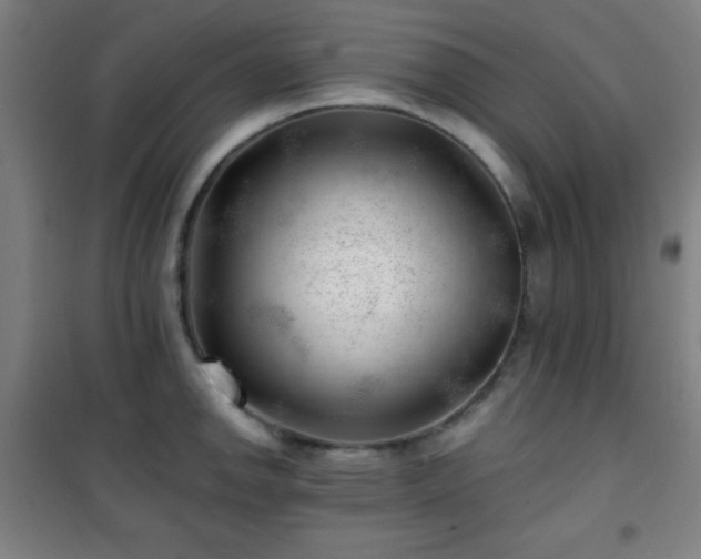 X0000101651142200807101225