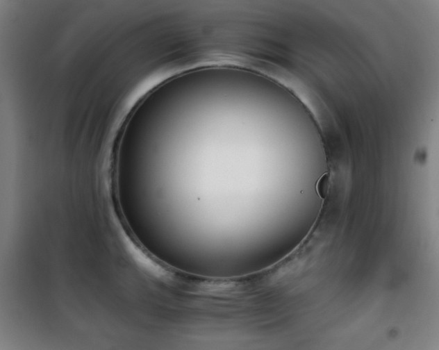 X0000101651143200807101225