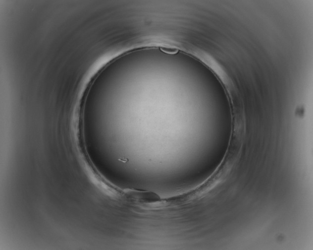 X0000101651144200807101225