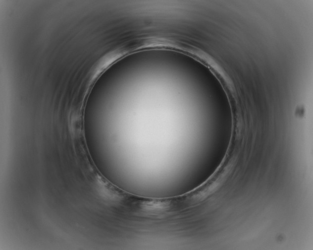 X0000101651145200807101225
