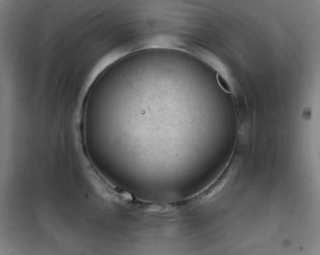 X0000101651146200807101225