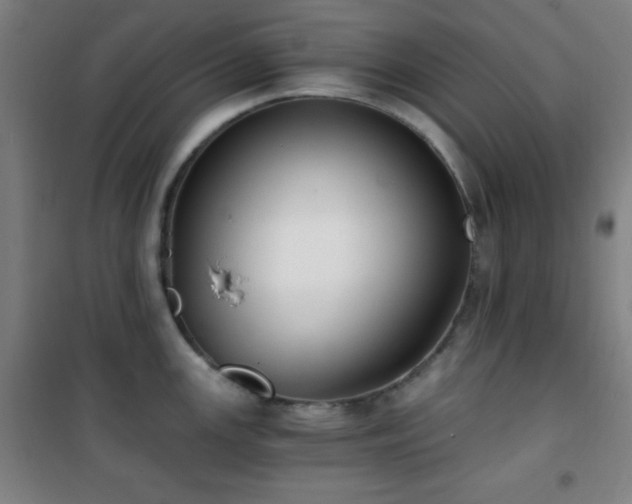 X0000101651147200807101225