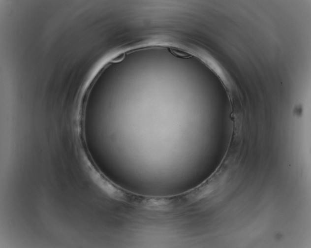 X0000101651148200807101225