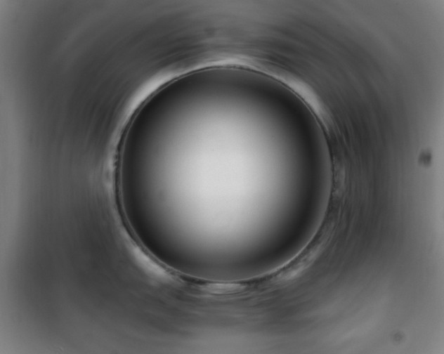 X0000101651151200807101225