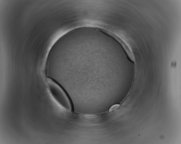 X0000101651152200807101225
