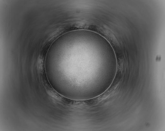 X0000101651154200807101224