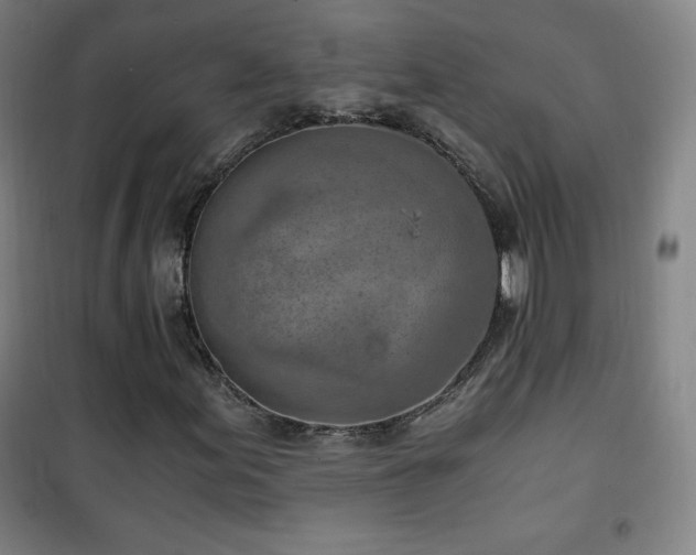 X0000101651155200807101224