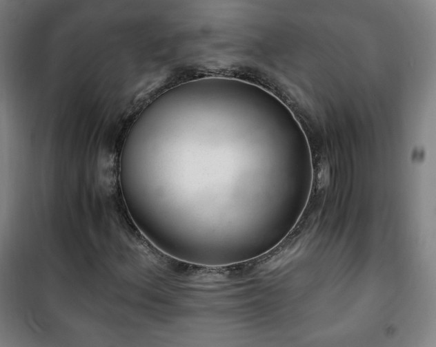 X0000101651156200807101224
