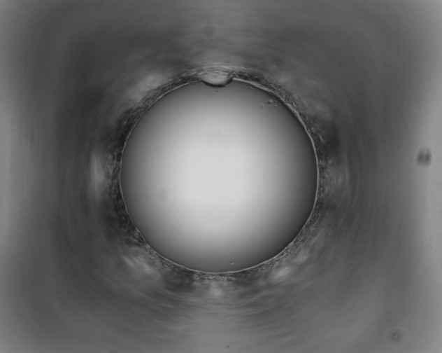 X0000101651157200807101224