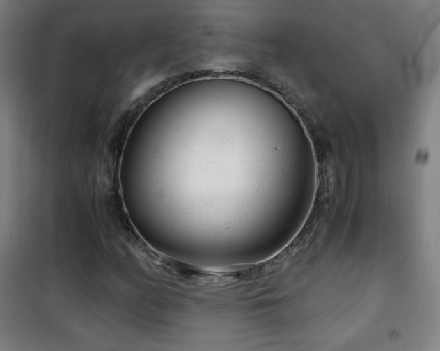 X0000101651158200807101224