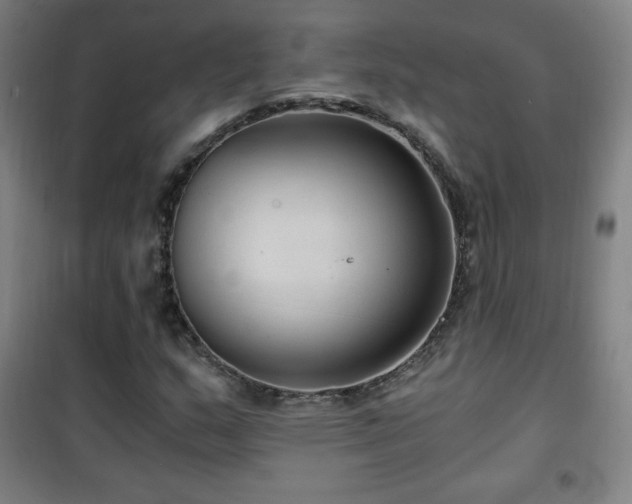 X0000101651159200807101224