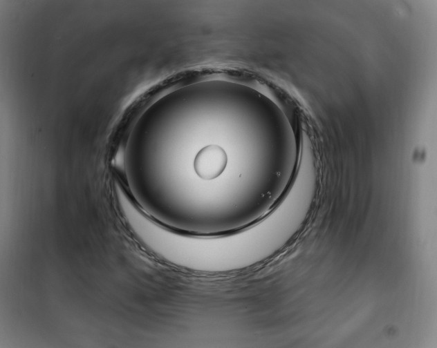 X0000101651160200807101224