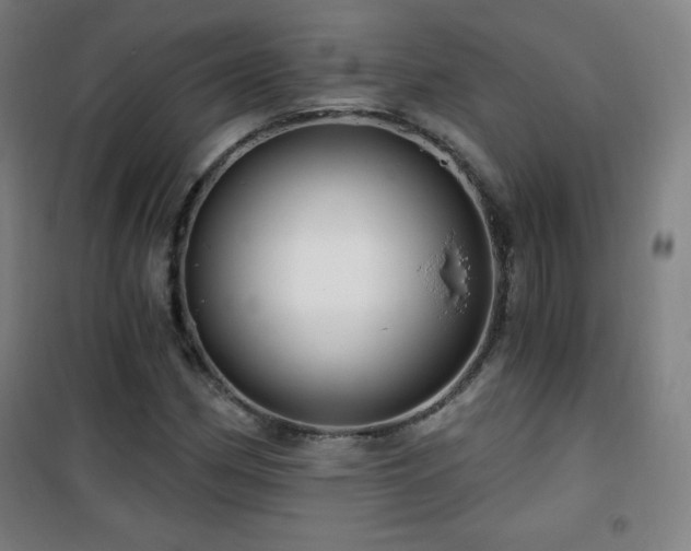 X0000101651162200807101224
