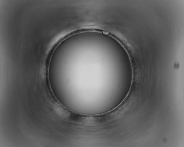 X0000101651167200807101224