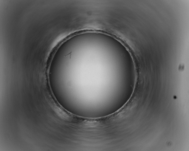 X0000101651168200807101224