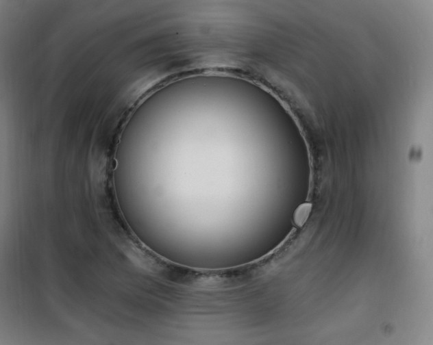 X0000101651169200807101224