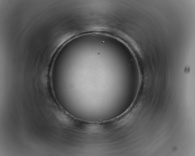 X0000101651170200807101224