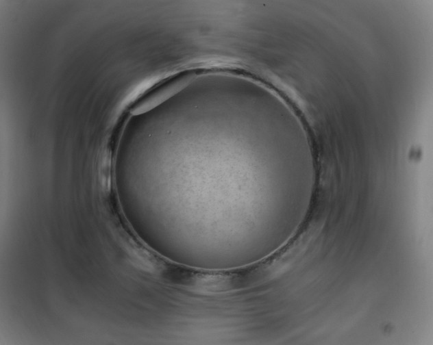 X0000101651171200807101224