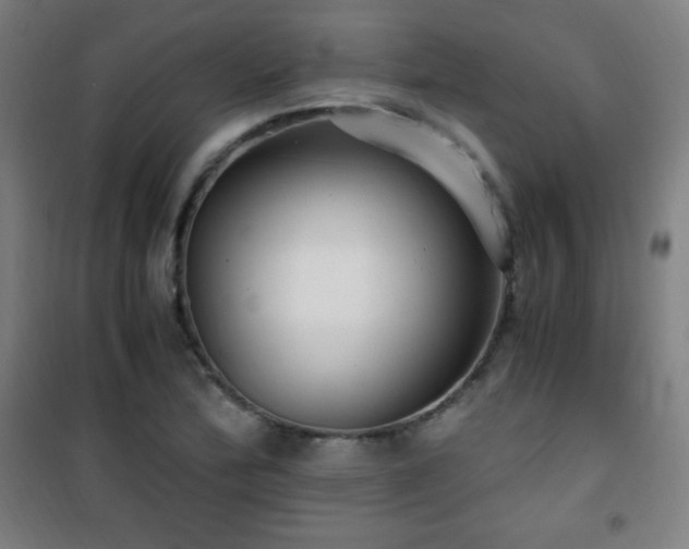 X0000101651172200807101224
