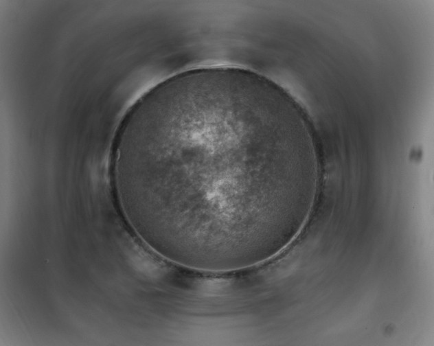 X0000101651173200807101224