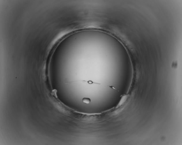 X0000101651174200807101224